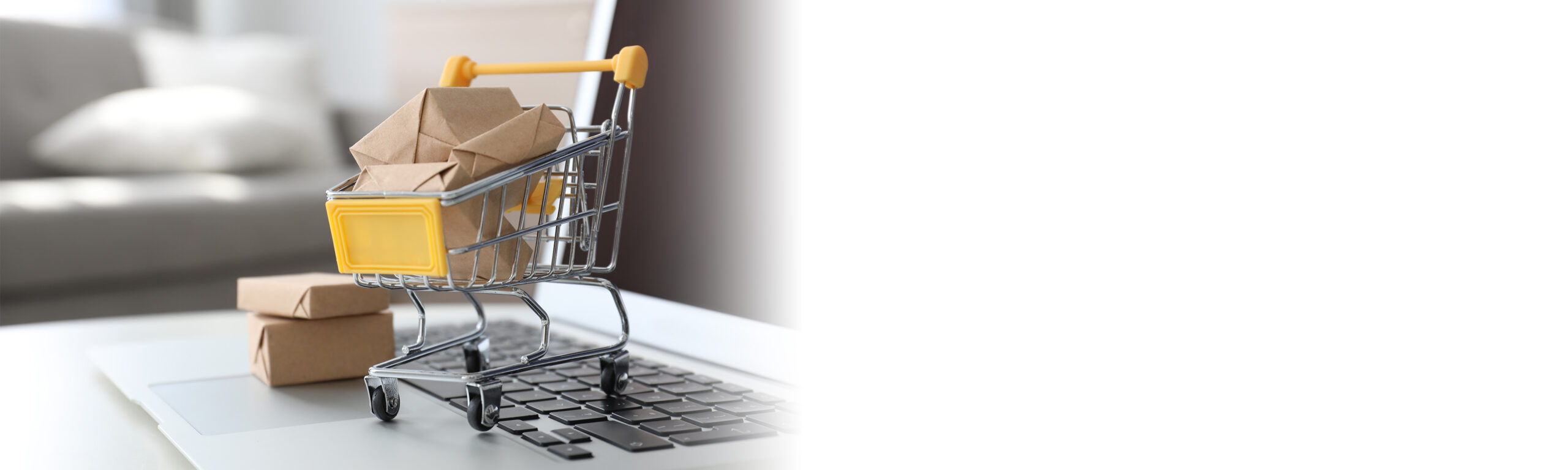 Webshop Ontwikkeling